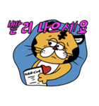 POP TIGER 韓国語（個別スタンプ：27）