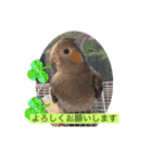 ぽぽの天国言葉（個別スタンプ：16）