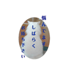 シロ様2（個別スタンプ：9）