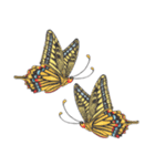 蝶と花2（個別スタンプ：40）