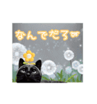 動く黒猫ハルとロビン2（個別スタンプ：9）