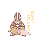 PonPon   Rabbit  ②（個別スタンプ：12）