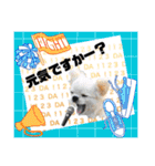 保護犬保護猫活動を応援する会 大切な友達（個別スタンプ：7）