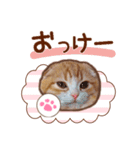 たれ耳ねこちゃん 見やすい！使いやすい♪（個別スタンプ：5）