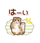 たれ耳ねこちゃん 見やすい！使いやすい♪（個別スタンプ：6）