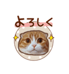 たれ耳ねこちゃん 見やすい！使いやすい♪（個別スタンプ：7）