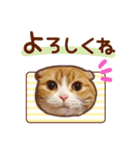 たれ耳ねこちゃん 見やすい！使いやすい♪（個別スタンプ：8）