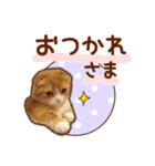 たれ耳ねこちゃん 見やすい！使いやすい♪（個別スタンプ：9）