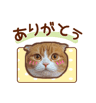 たれ耳ねこちゃん 見やすい！使いやすい♪（個別スタンプ：12）