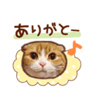 たれ耳ねこちゃん 見やすい！使いやすい♪（個別スタンプ：14）