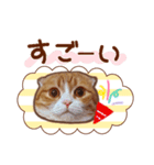 たれ耳ねこちゃん 見やすい！使いやすい♪（個別スタンプ：17）