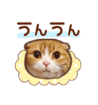 たれ耳ねこちゃん 見やすい！使いやすい♪（個別スタンプ：20）