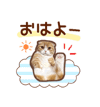 たれ耳ねこちゃん 見やすい！使いやすい♪（個別スタンプ：21）