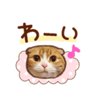 たれ耳ねこちゃん 見やすい！使いやすい♪（個別スタンプ：29）