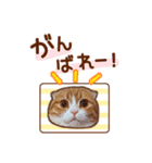 たれ耳ねこちゃん 見やすい！使いやすい♪（個別スタンプ：30）