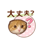 たれ耳ねこちゃん 見やすい！使いやすい♪（個別スタンプ：31）