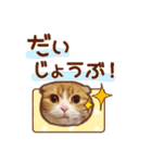 たれ耳ねこちゃん 見やすい！使いやすい♪（個別スタンプ：32）