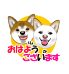 柴犬りょうかいくんのラインスタンプだよ（個別スタンプ：2）