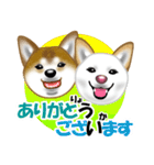 柴犬りょうかいくんのラインスタンプだよ（個別スタンプ：5）