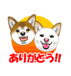 柴犬りょうかいくんのラインスタンプだよ（個別スタンプ：6）