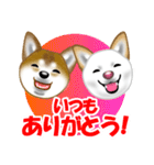 柴犬りょうかいくんのラインスタンプだよ（個別スタンプ：7）