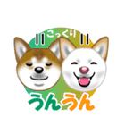 柴犬りょうかいくんのラインスタンプだよ（個別スタンプ：11）