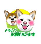 柴犬りょうかいくんのラインスタンプだよ（個別スタンプ：17）