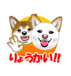 柴犬りょうかいくんのラインスタンプだよ（個別スタンプ：19）