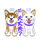 柴犬りょうかいくんのラインスタンプだよ（個別スタンプ：22）