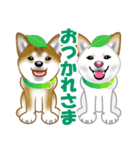 柴犬りょうかいくんのラインスタンプだよ（個別スタンプ：25）