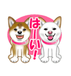 柴犬りょうかいくんのラインスタンプだよ（個別スタンプ：29）