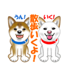 柴犬りょうかいくんのラインスタンプだよ（個別スタンプ：30）