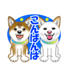 柴犬りょうかいくんのラインスタンプだよ（個別スタンプ：37）