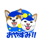 柴犬りょうかいくんのラインスタンプだよ（個別スタンプ：38）