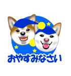 柴犬りょうかいくんのラインスタンプだよ（個別スタンプ：39）