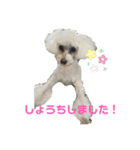 はなちゃん2023（個別スタンプ：3）
