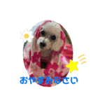 はなちゃん2023（個別スタンプ：4）