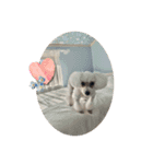 はなちゃん2023（個別スタンプ：12）