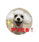 はなちゃん2023（個別スタンプ：15）