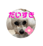 はなちゃん2023（個別スタンプ：16）