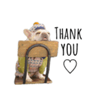 マルゴンスタンプ（個別スタンプ：29）