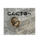 愉快な仲間達！2（個別スタンプ：2）