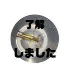 愉快な仲間達！2（個別スタンプ：7）