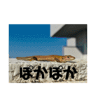 愉快な仲間達！2（個別スタンプ：10）