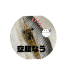 愉快な仲間達！2（個別スタンプ：11）