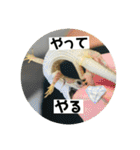 愉快な仲間達！2（個別スタンプ：12）