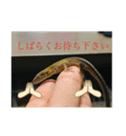 愉快な仲間達！2（個別スタンプ：13）