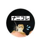 愉快な仲間達！2（個別スタンプ：14）