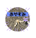 愉快な仲間達！2（個別スタンプ：15）