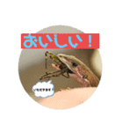 愉快な仲間達！2（個別スタンプ：17）